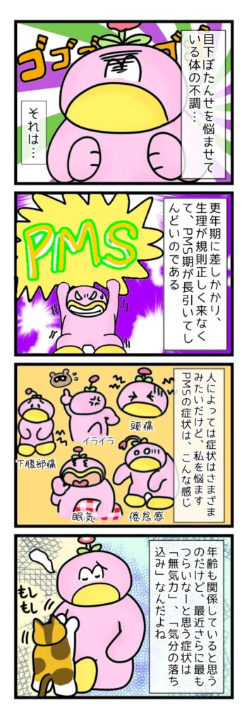 私のPMS期間のやり過ごし方